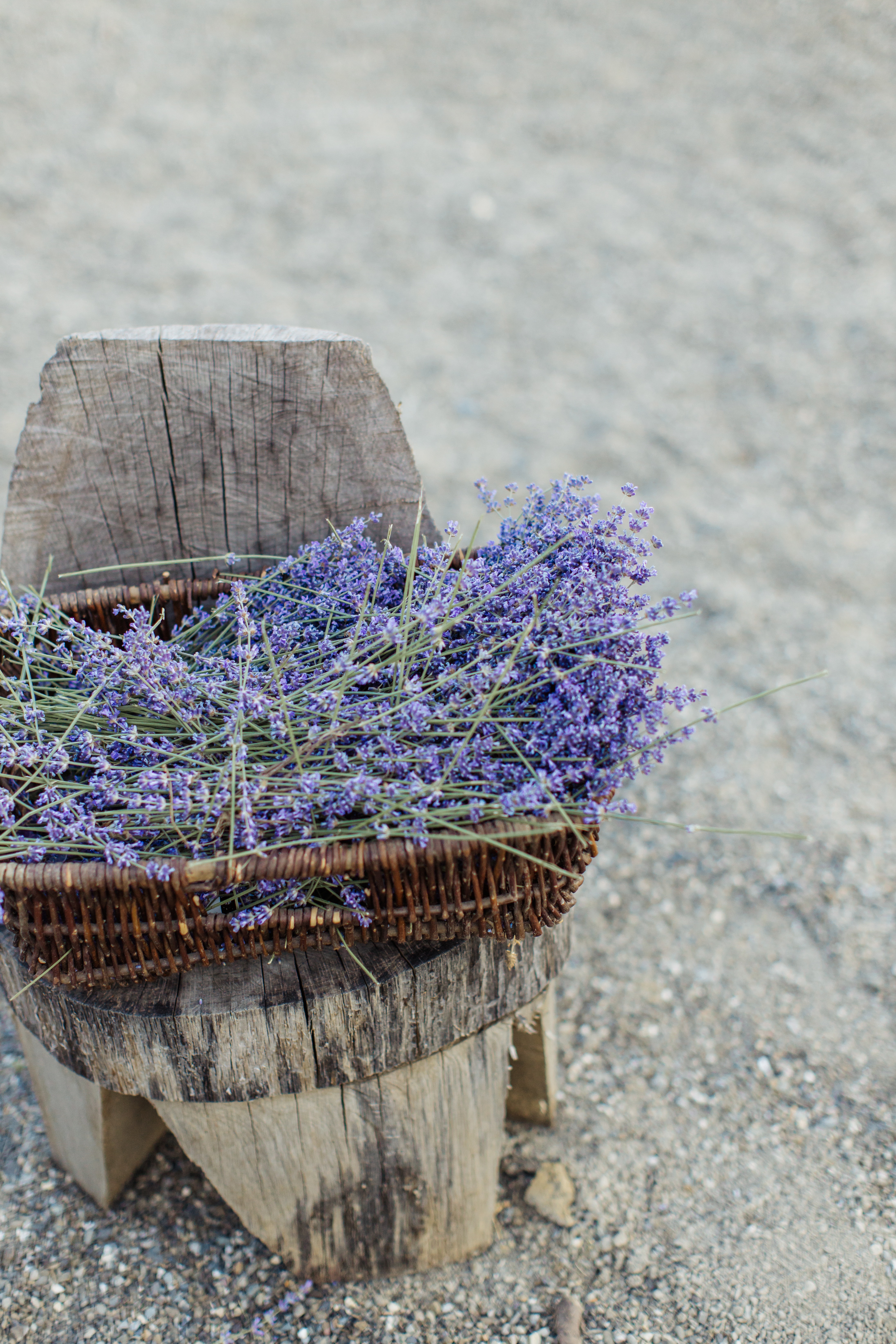 Basket Of Lavender Purple Flower Wallpapers