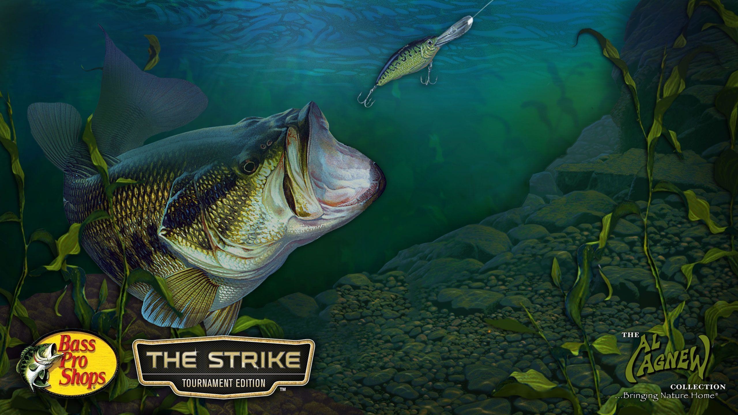 Bass Fishing Wallpapers