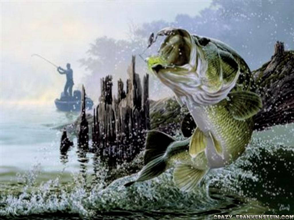 Bass Fishing Wallpapers