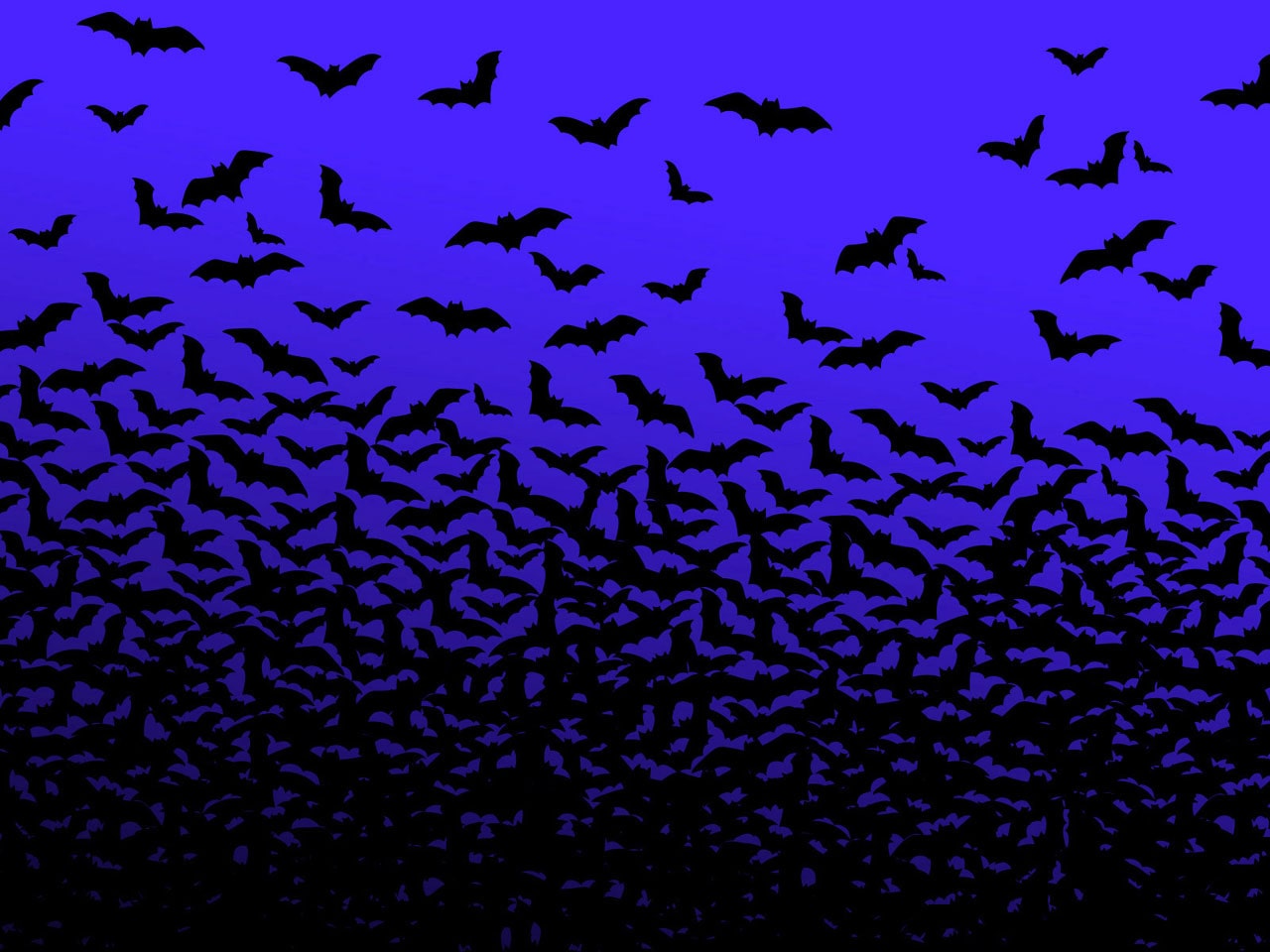 Bat Wallpapers