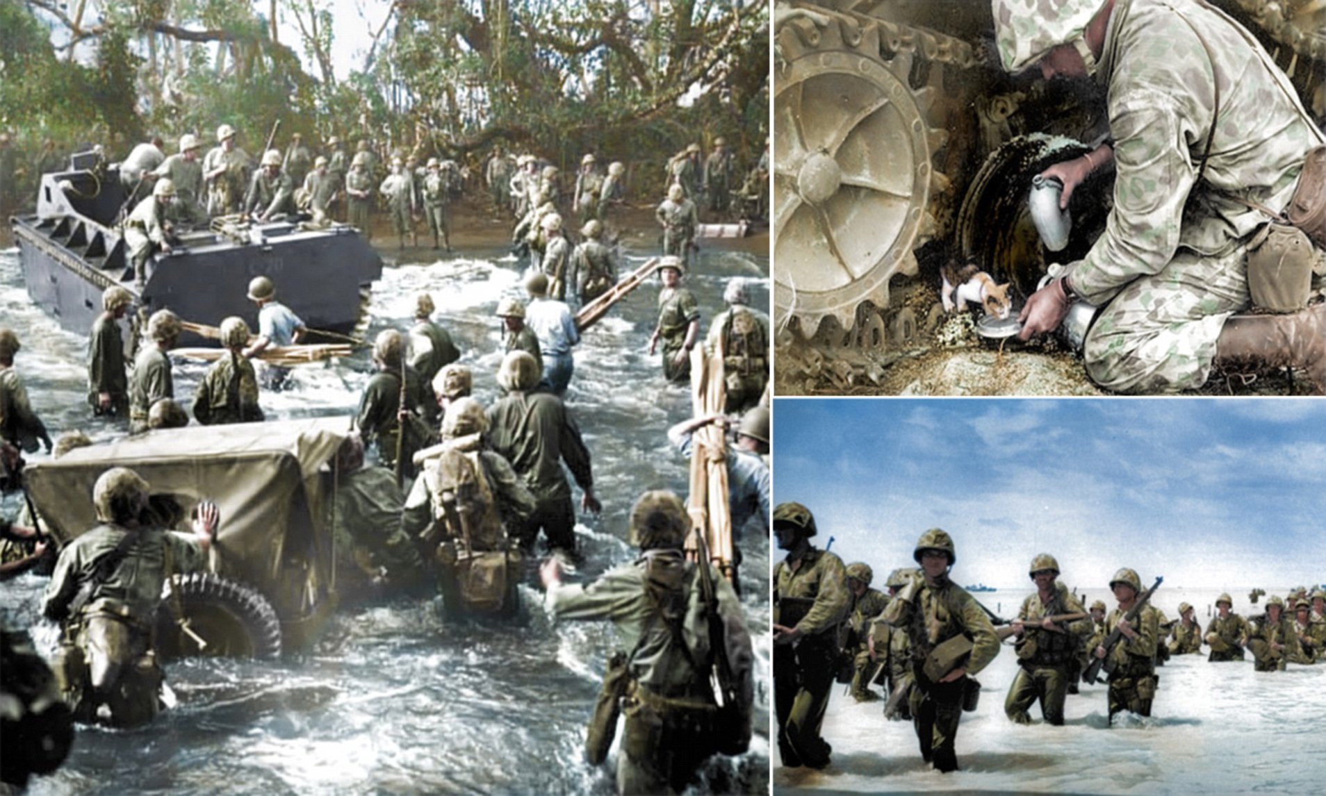 Battle Of Tarawa Wallpapers