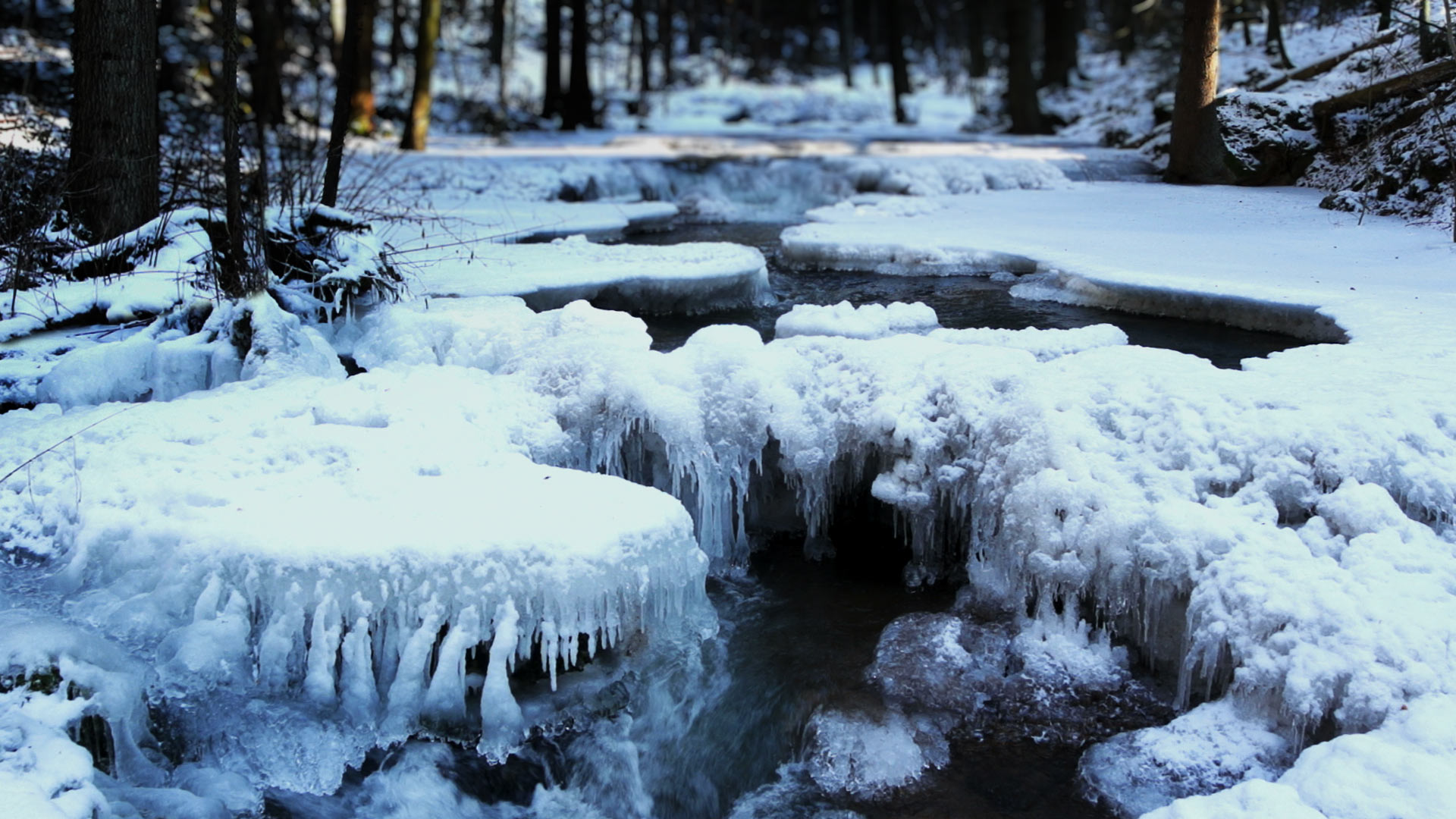 Bavarian Forest National Park Wallpapers