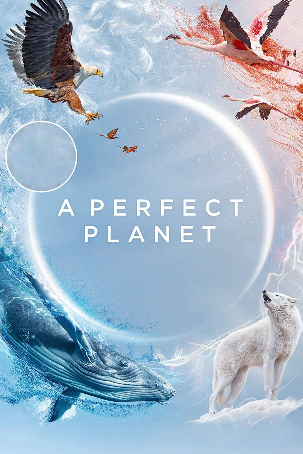 Bbc Perfect Planet Wallpapers