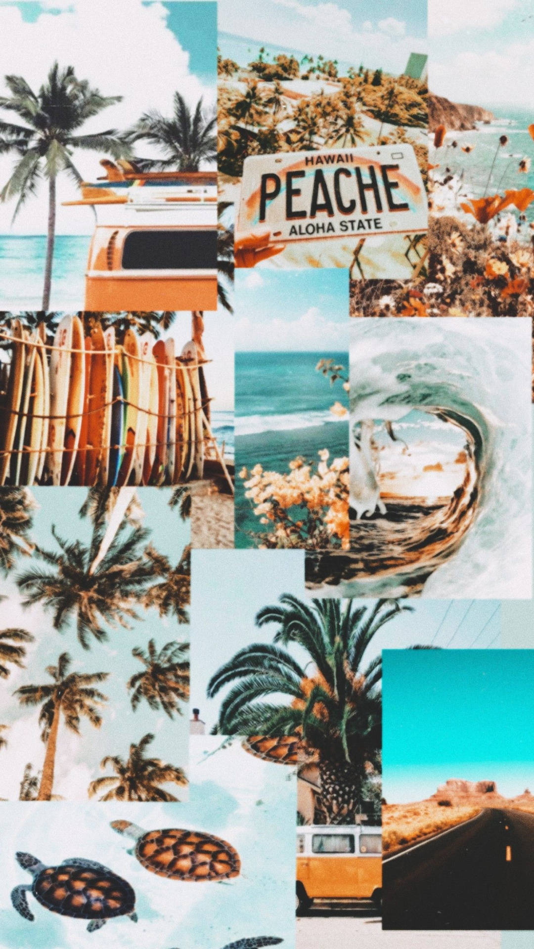 Beach Aesthetic Collage Wallpapers