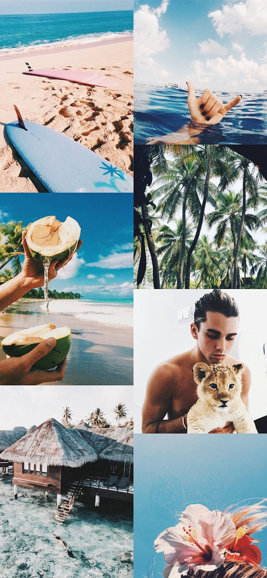 Beach Aesthetic Collage Wallpapers