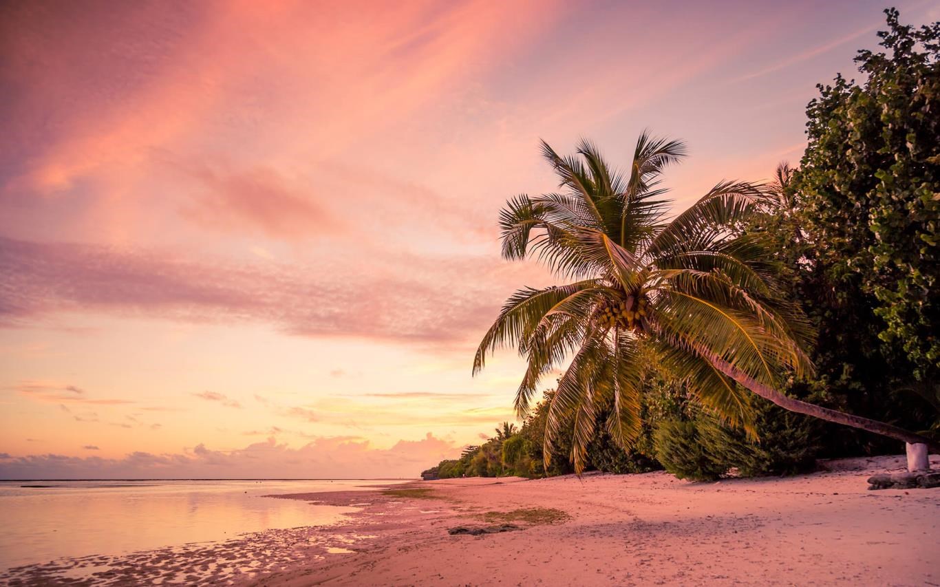 Beach Backgrounds For Desktop