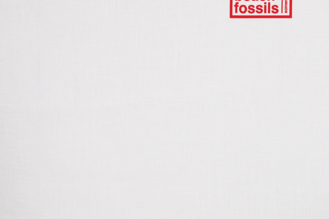 Beach Fossils Wallpapers