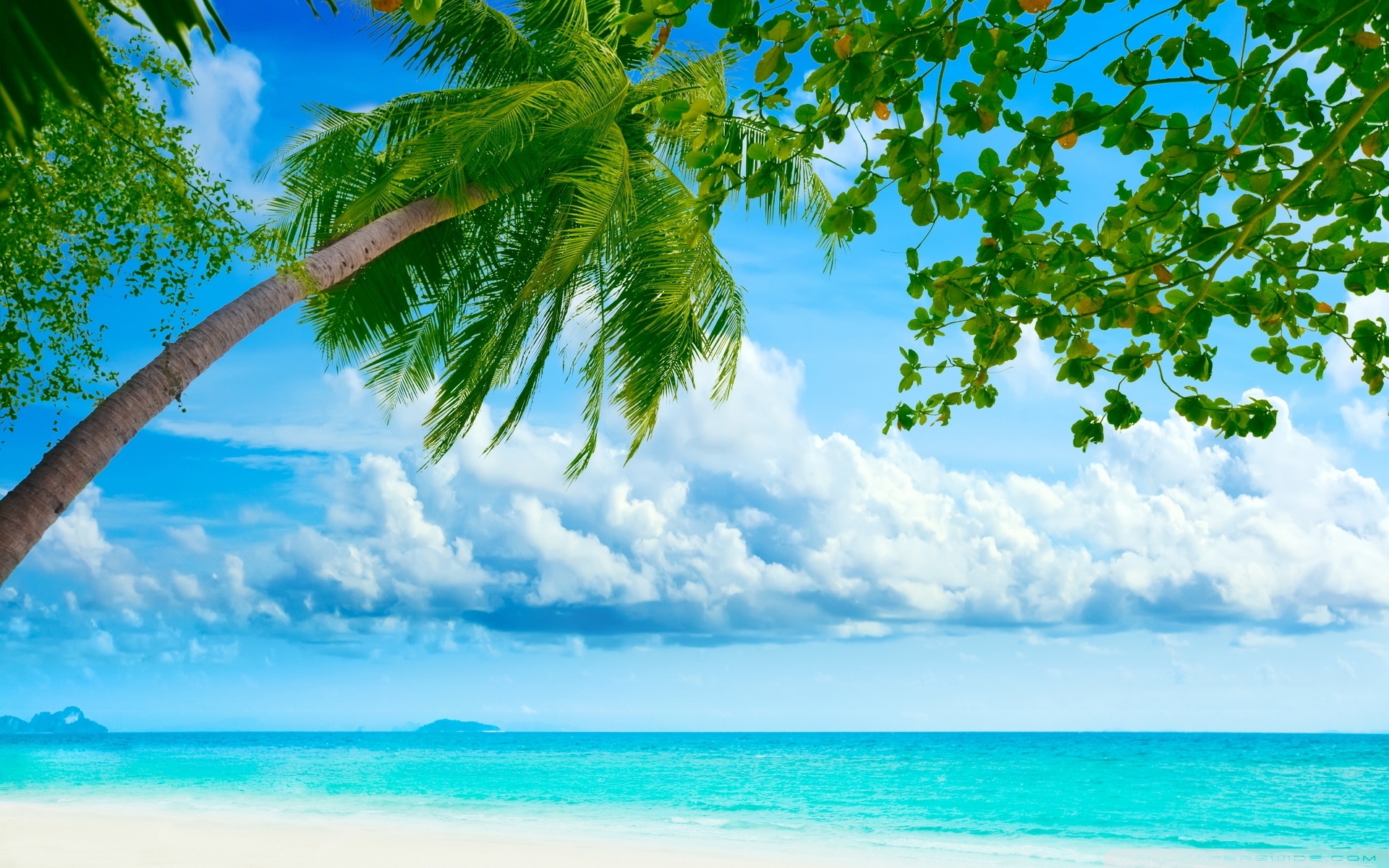 Beach Hd Image Wallpapers