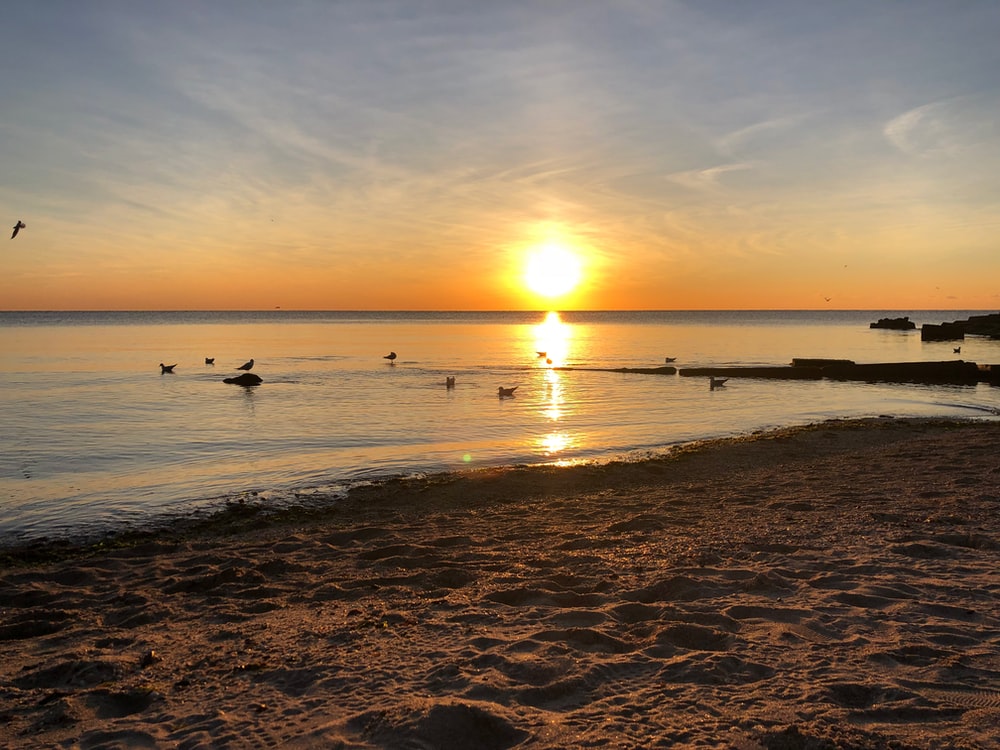 Beach Morning Wallpapers