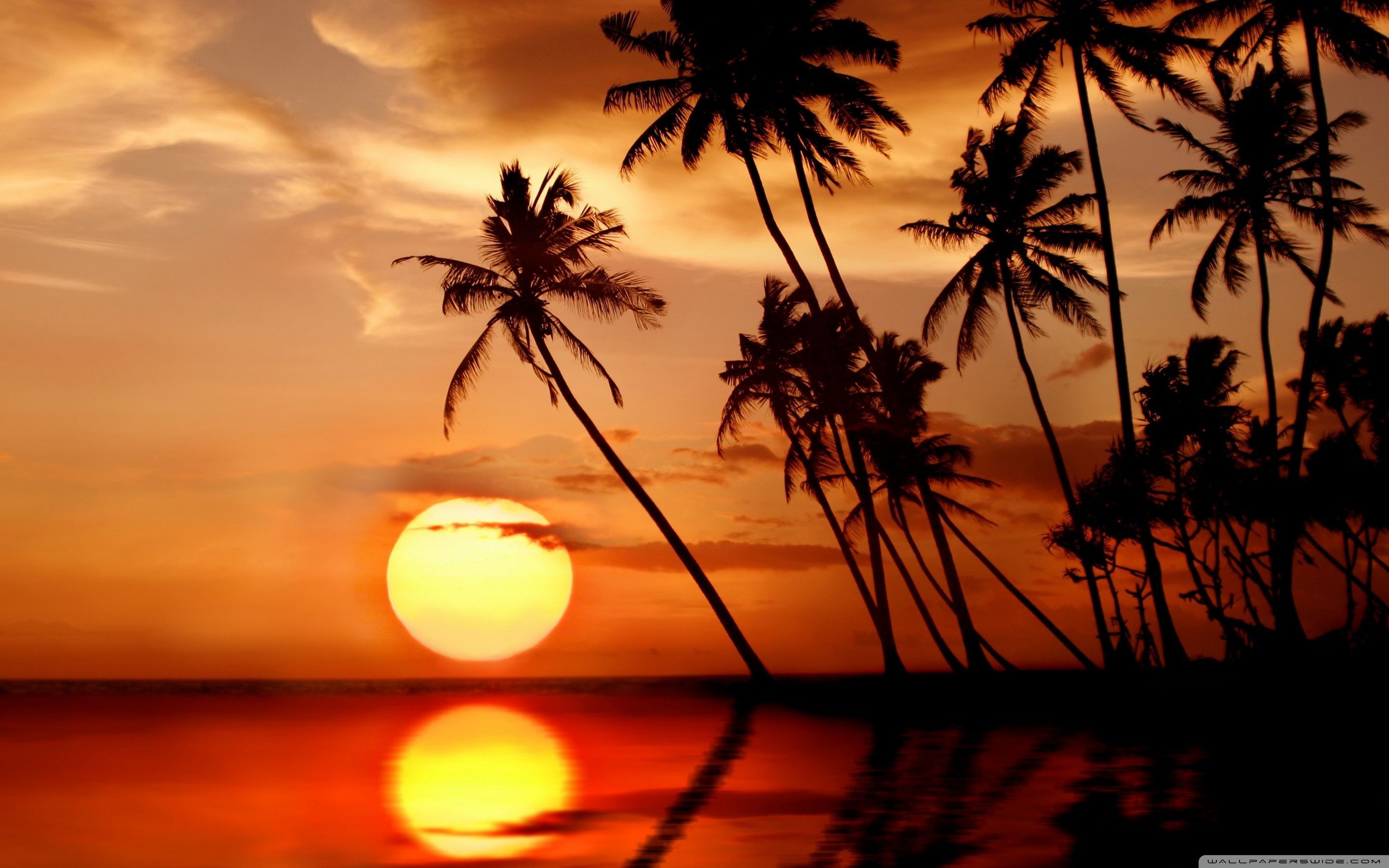 Beach Paradise Sunset Wallpapers