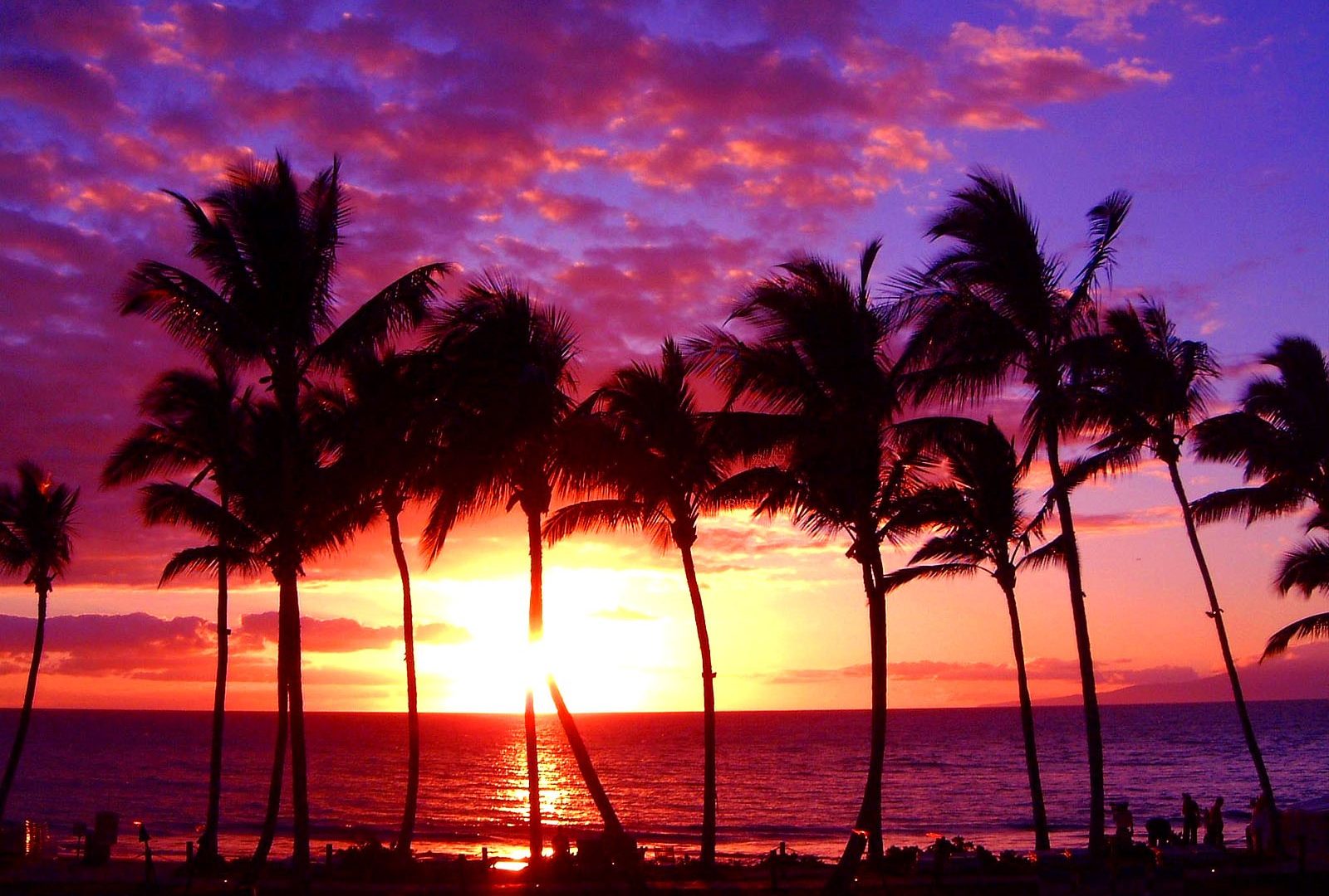 Beach Paradise Sunset Wallpapers