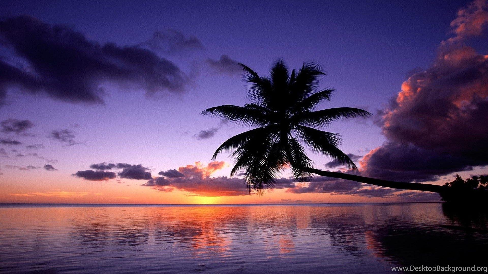 Beach Paradise Sunset Wallpapers