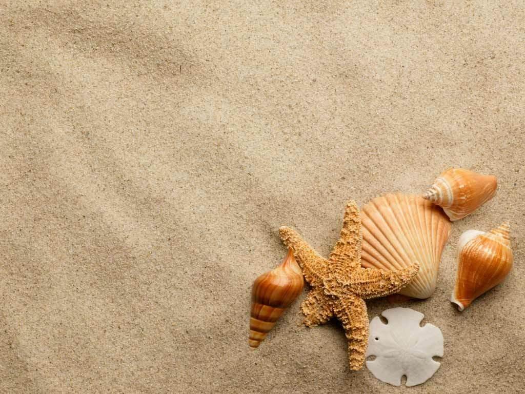 Beach Sand Wallpapers