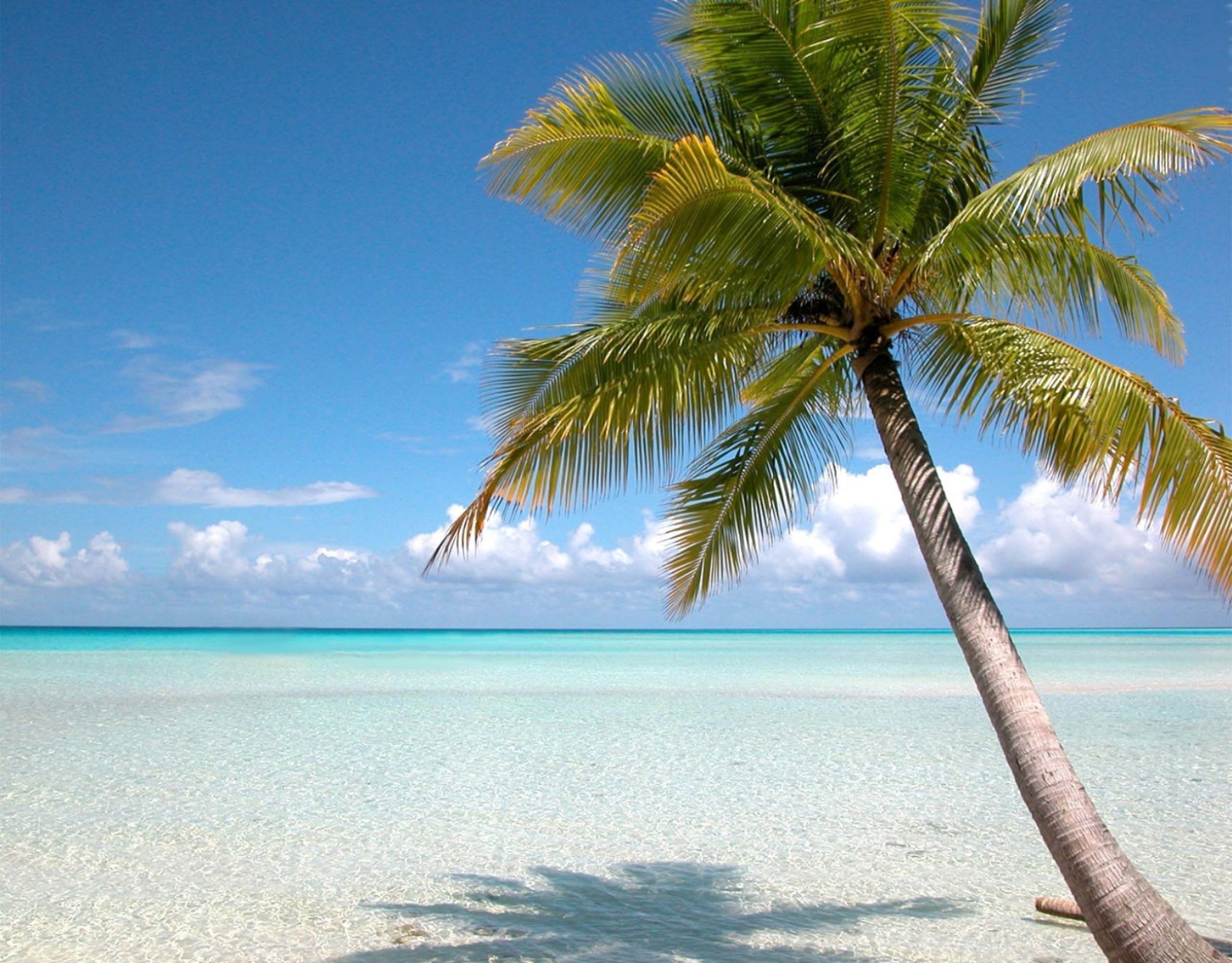 Beach Screen Backgrounds