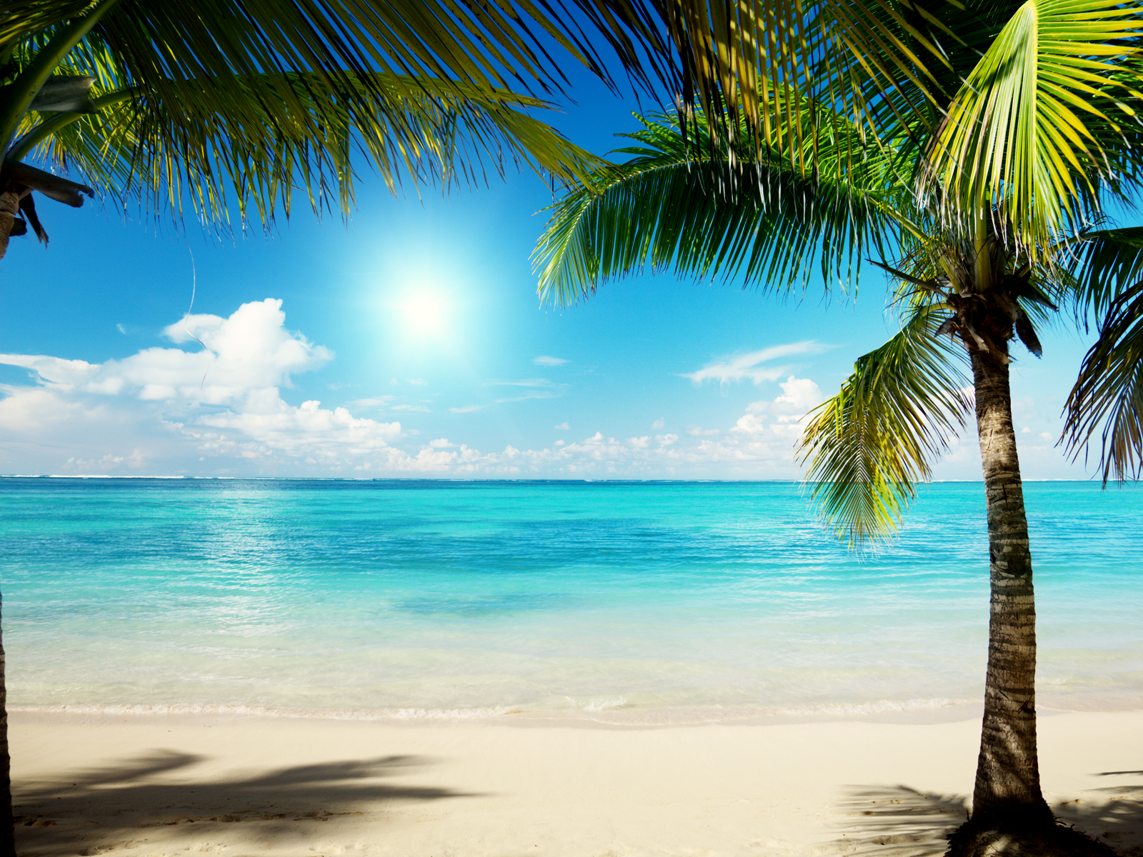 Beach Summer Wallpapers