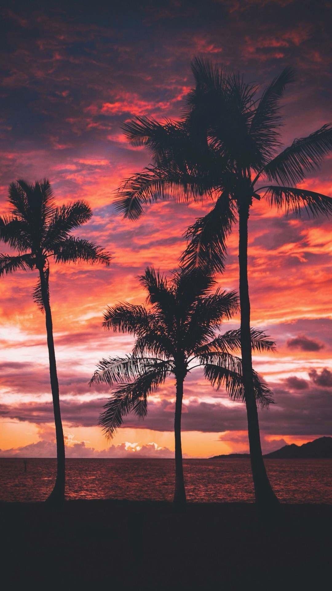 Beach Sunset Iphone Wallpapers