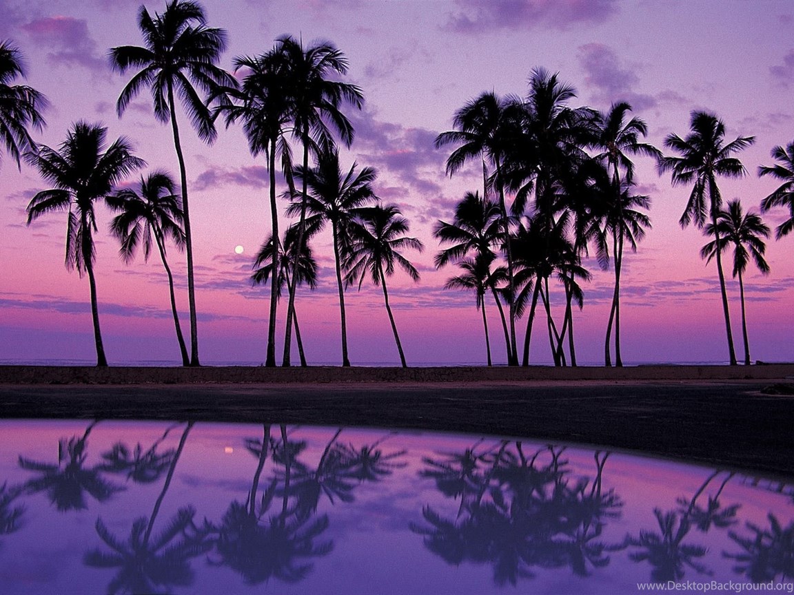 Beach Sunset Purple Wallpapers