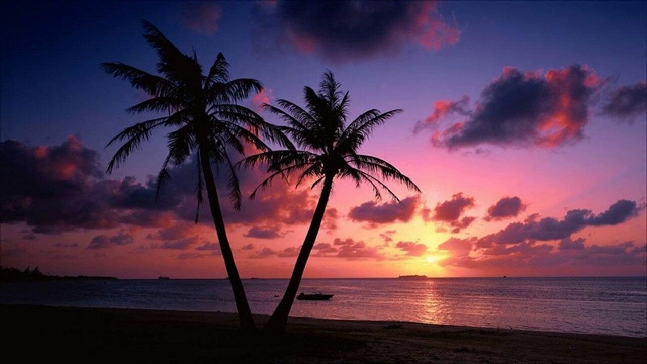 Beach Sunset Wallpapers