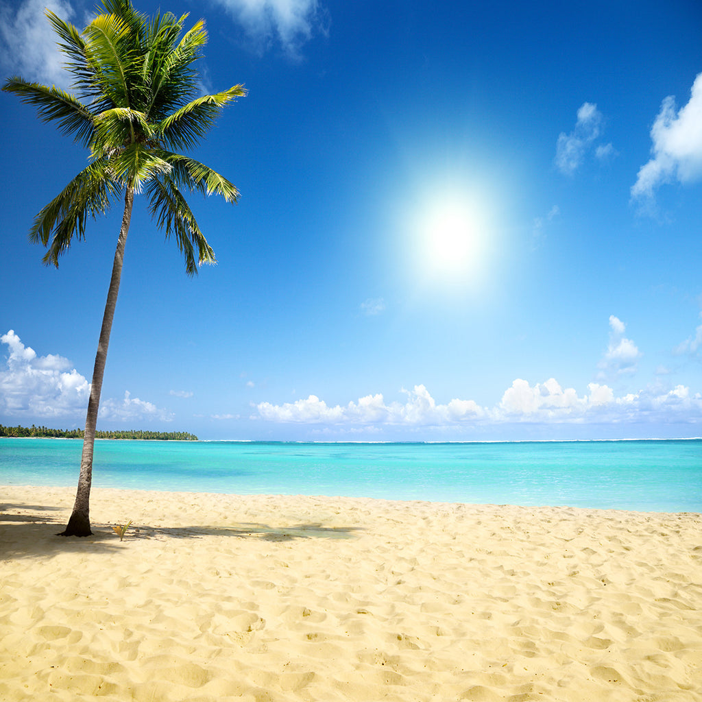 Beach Themed Backgrounds