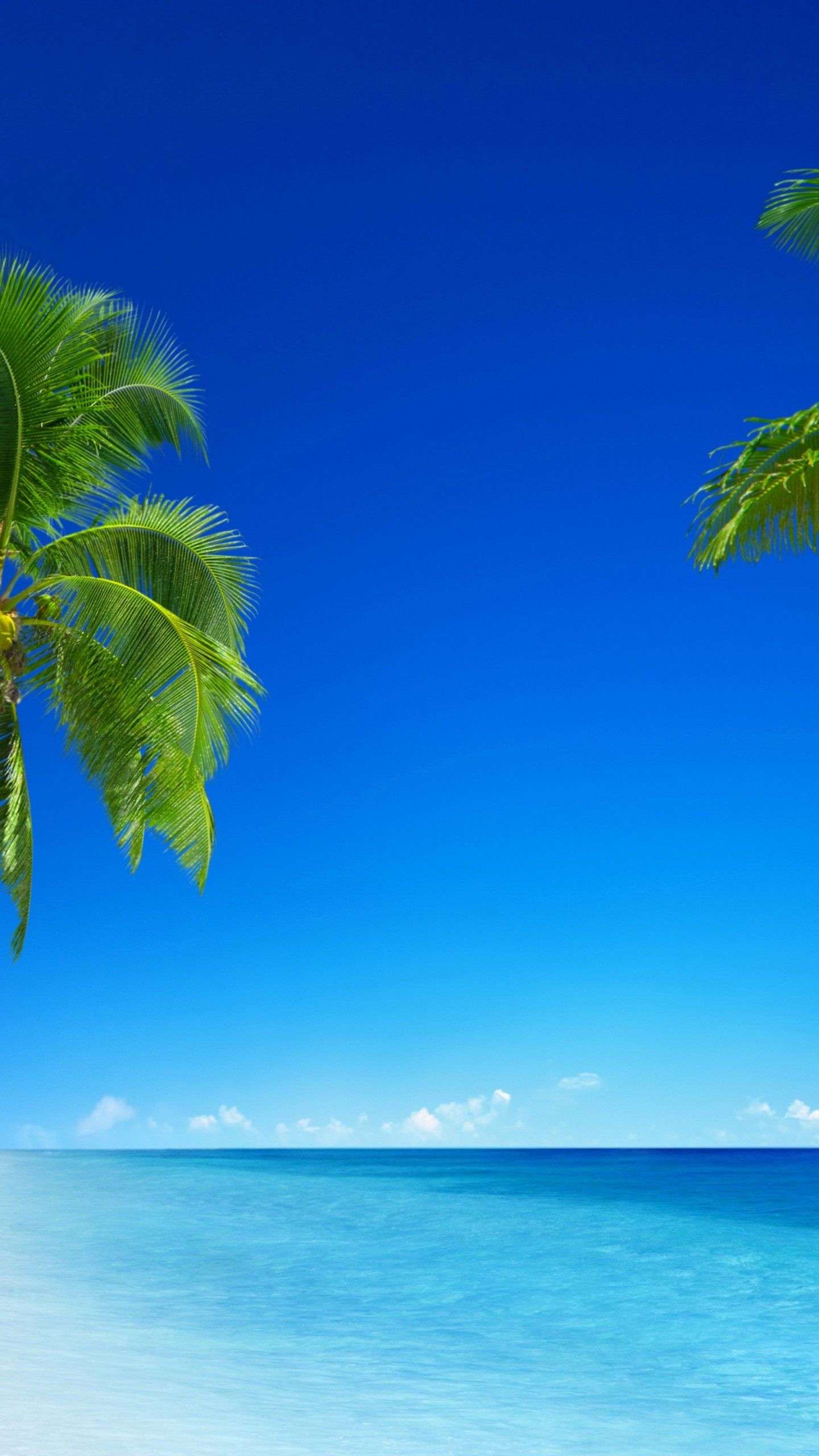 Beach Vertical Wallpapers