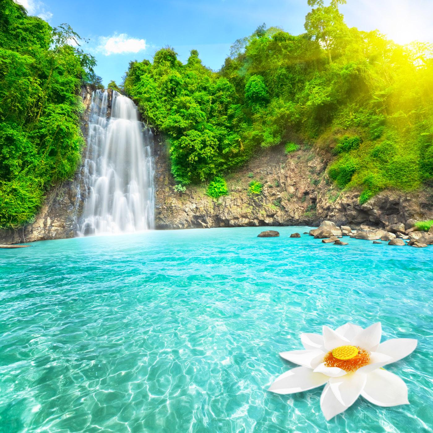 Beach Waterfall Wallpapers