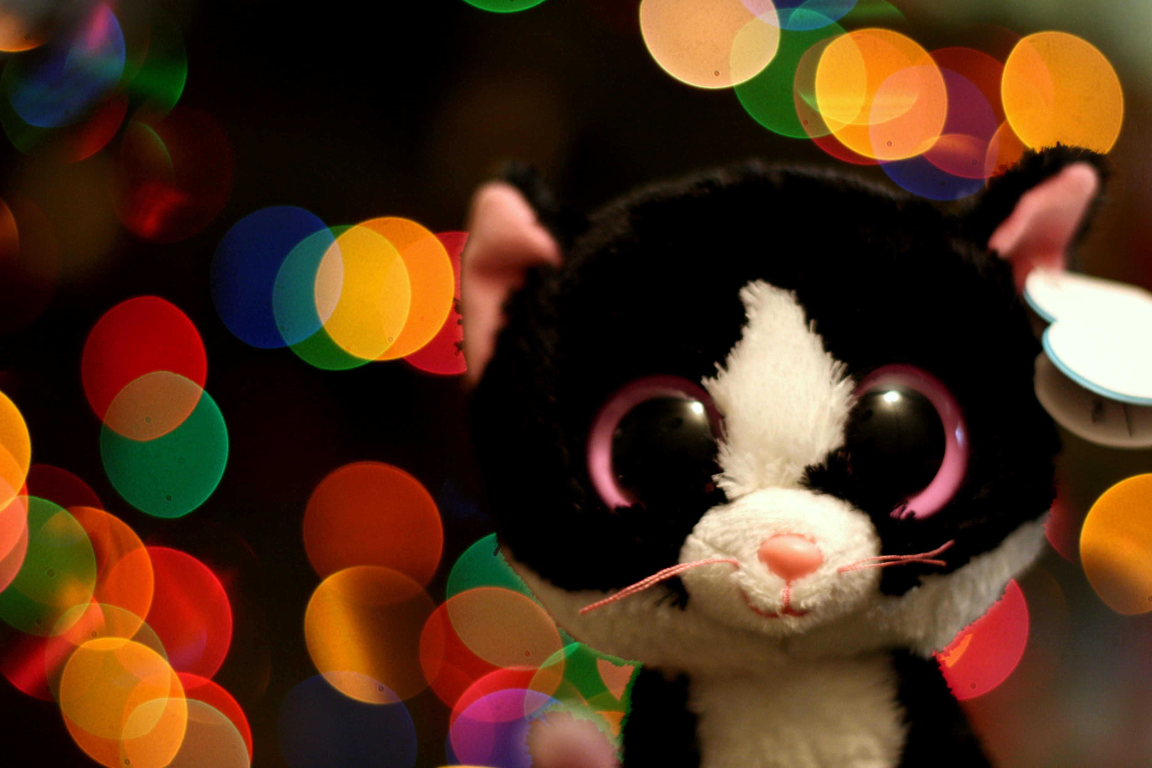 Beanie Boos Wallpapers