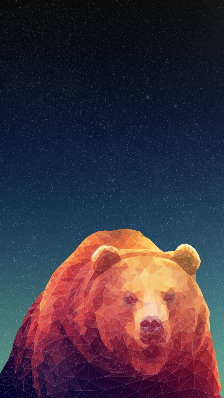 Bear Phone Wallpapers