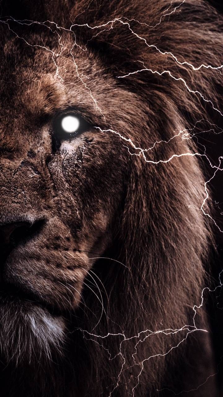 Beast Lion Iphone Wallpapers