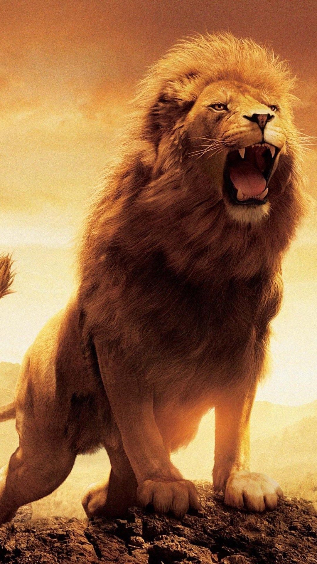 Beast Lion Iphone Wallpapers