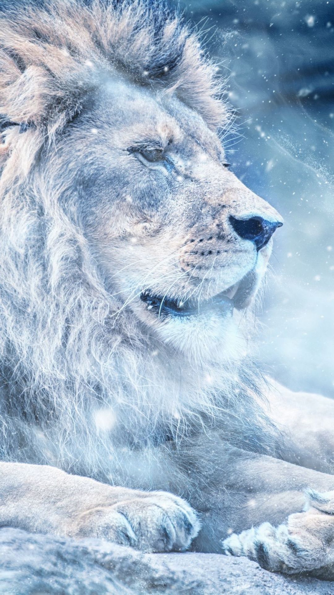 Beast Lion Iphone Wallpapers