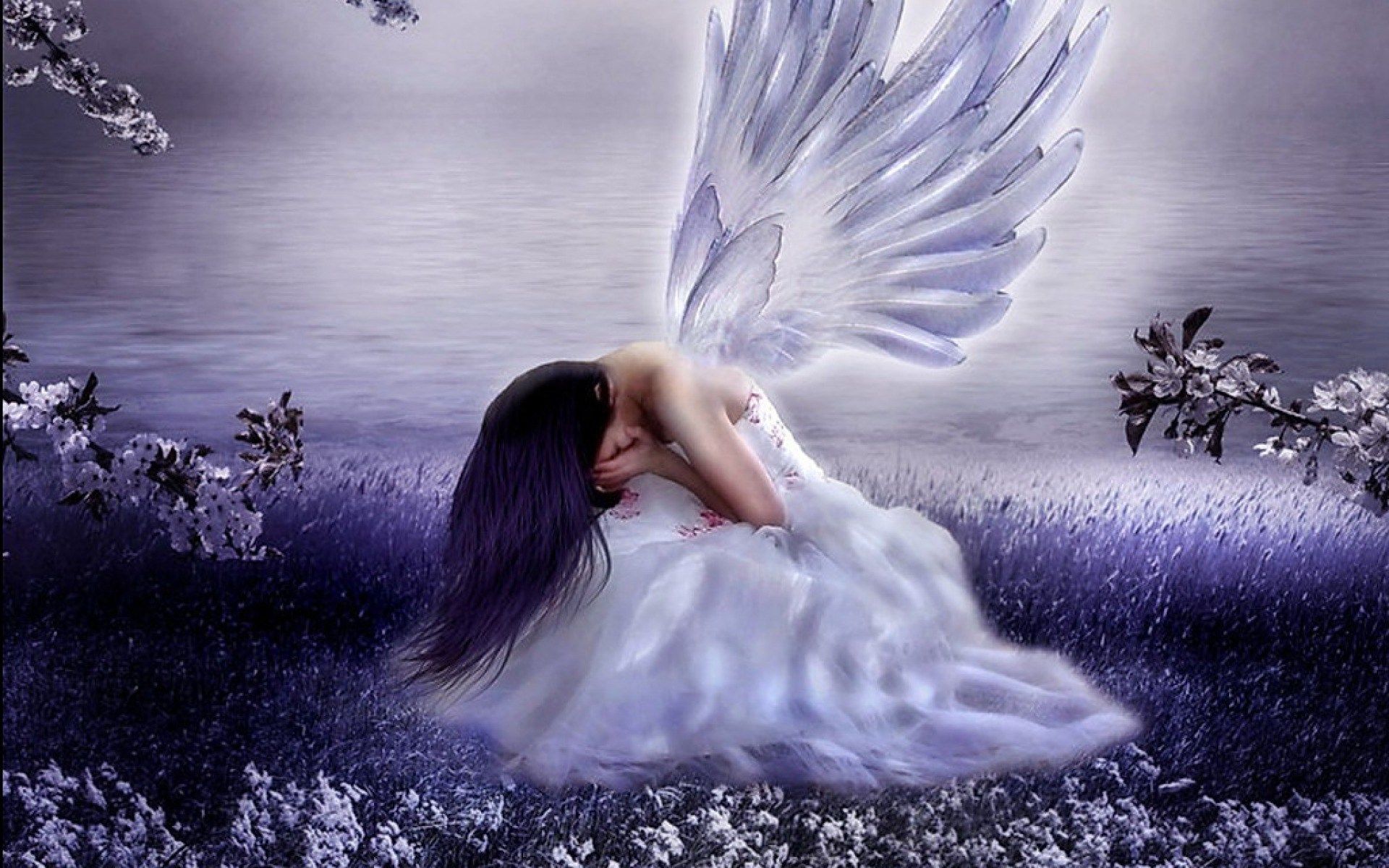 Beautiful Angels Wallpapers Wallpapers