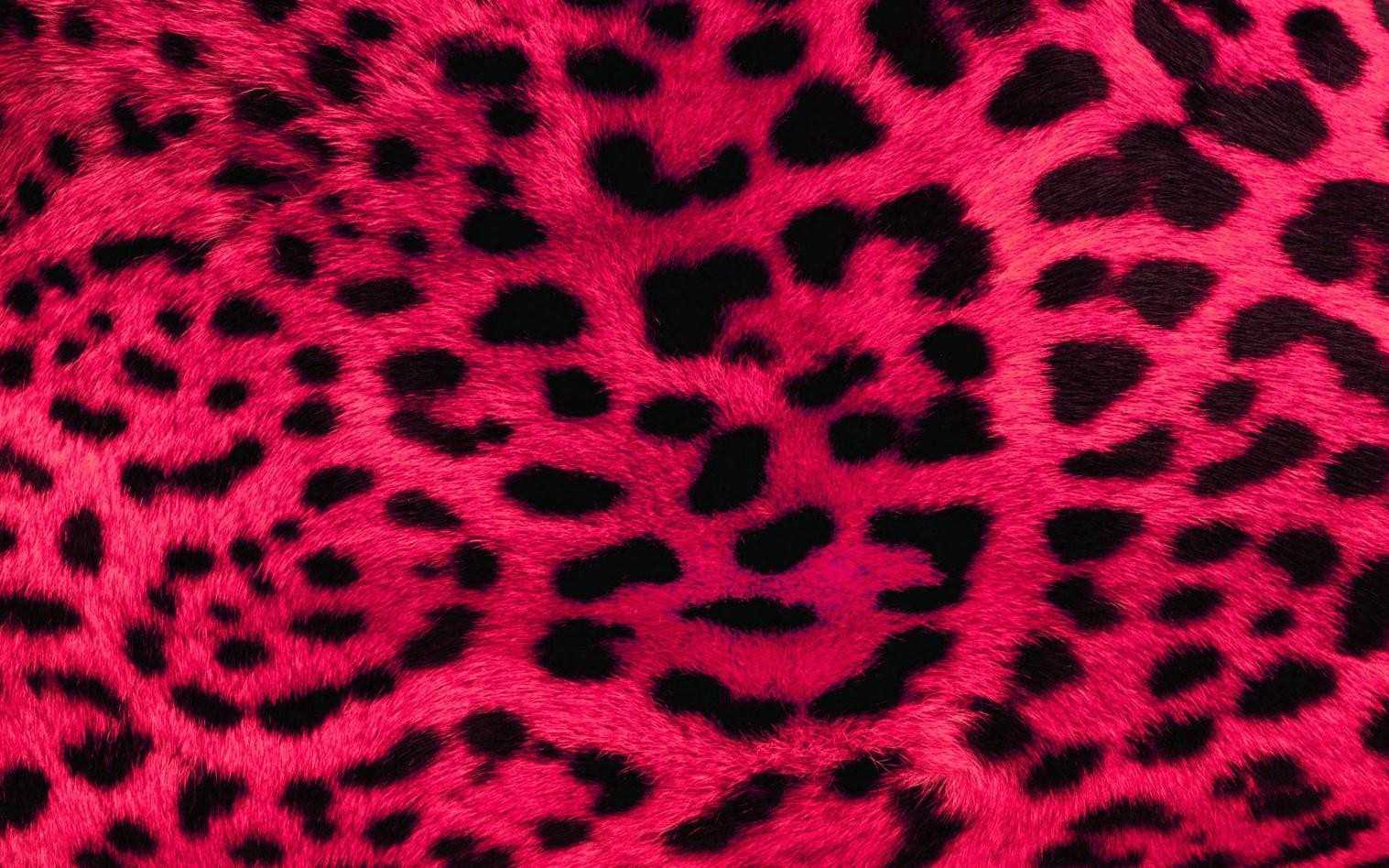 Beautiful Animal Print Wallpapers