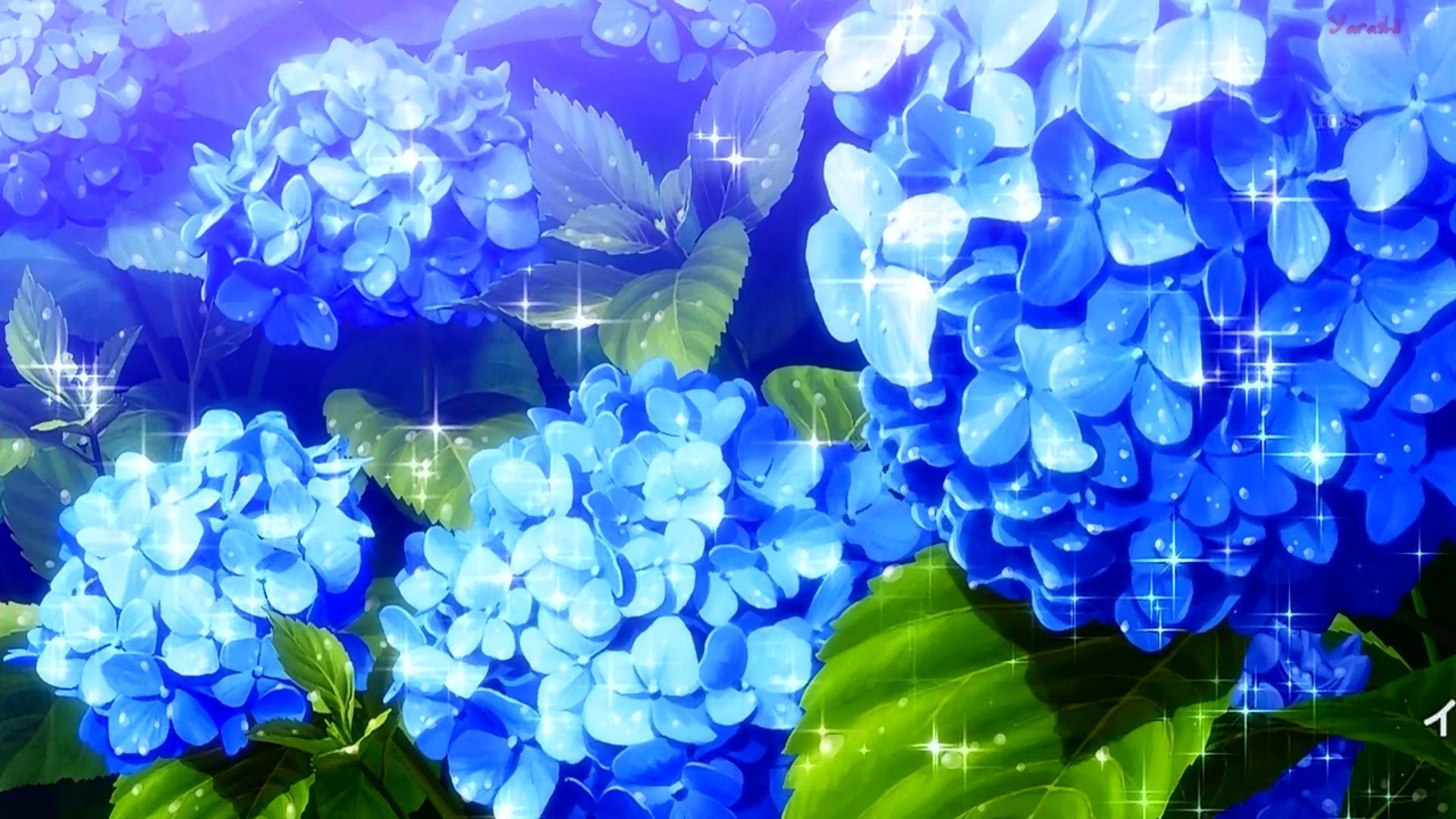 Beautiful Anime Flower Wallpapers