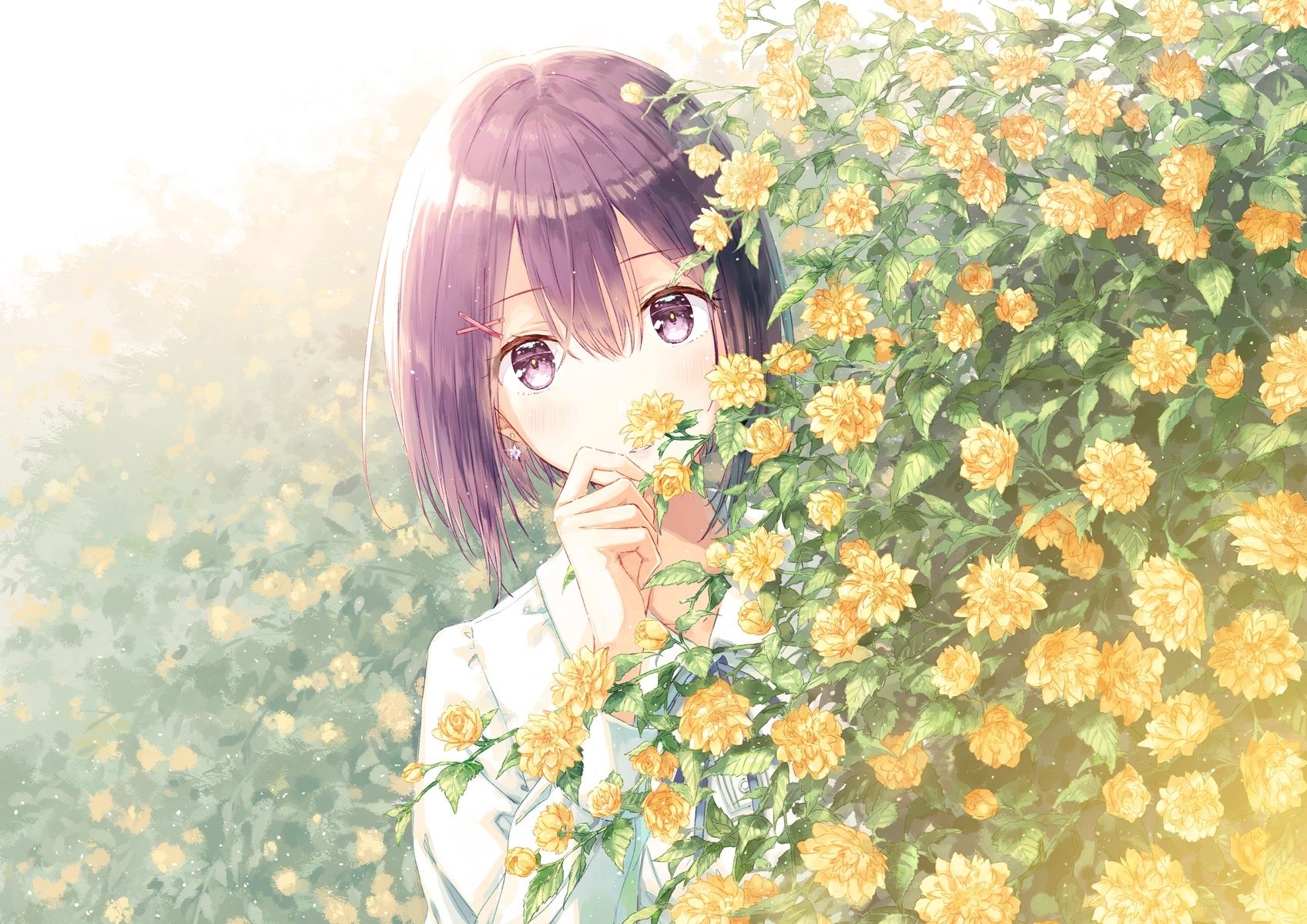 Beautiful Anime Flower Wallpapers