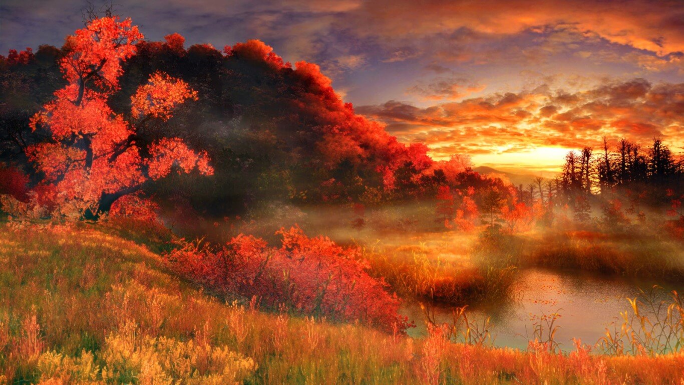 Beautiful Artistic Sunrise In Forest Wallpapers