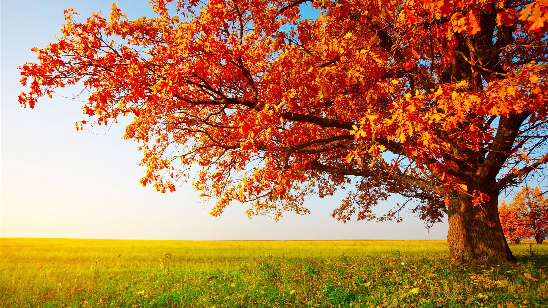 Beautiful Autumn Desktop Wallpapers