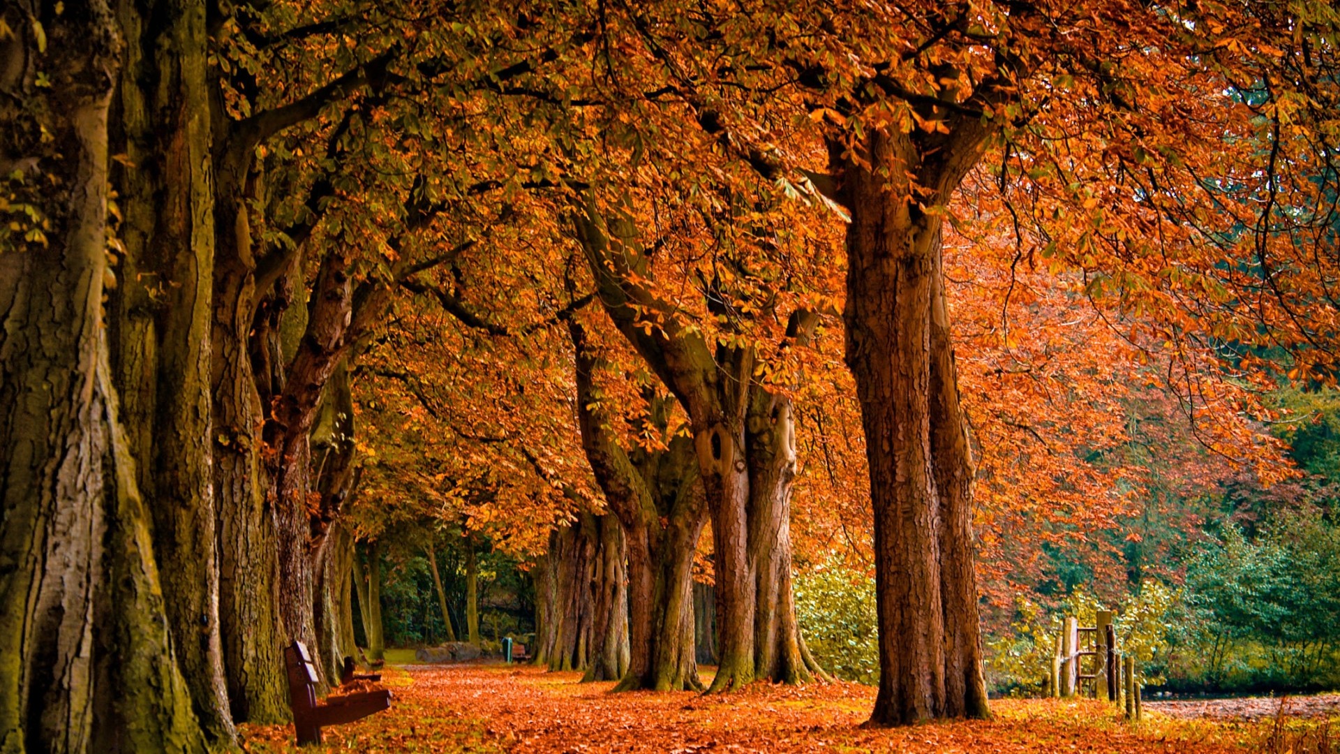 Beautiful Autumn Desktop Wallpapers