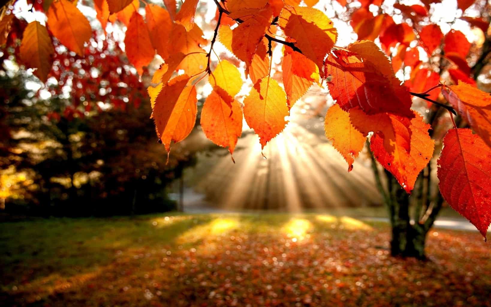 Beautiful Autumn Desktop Wallpapers