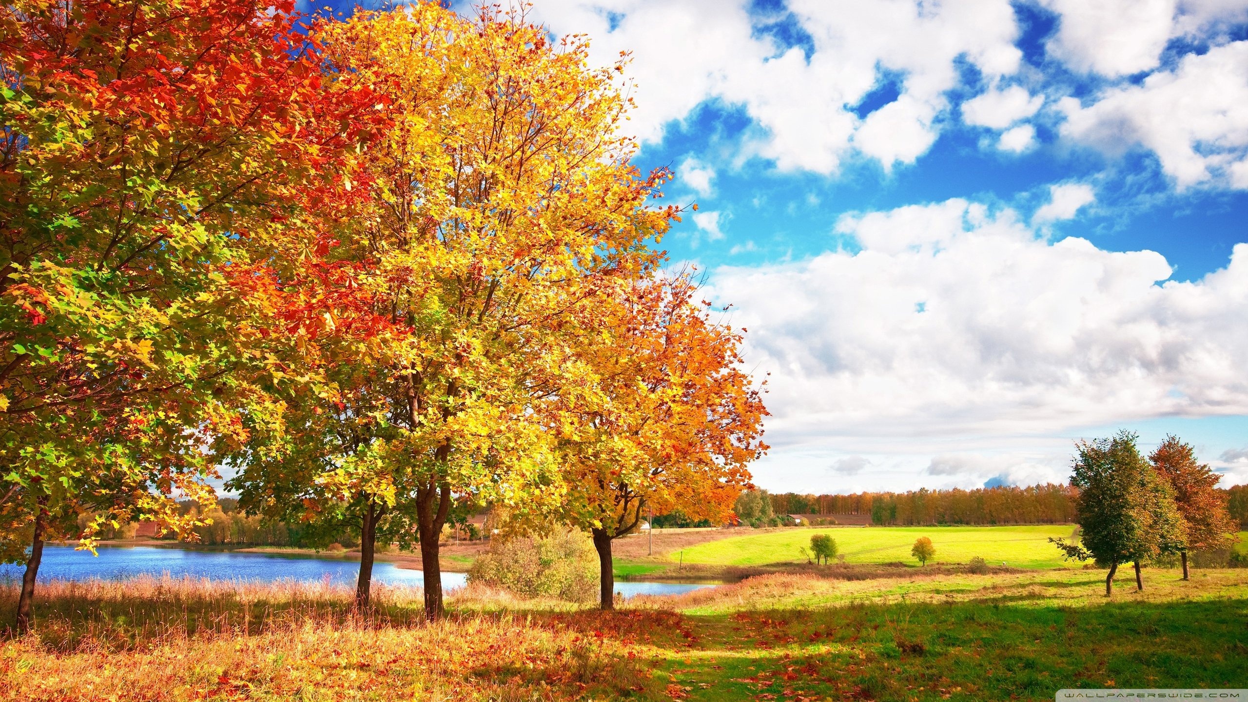 Beautiful Autumn Desktop Wallpapers