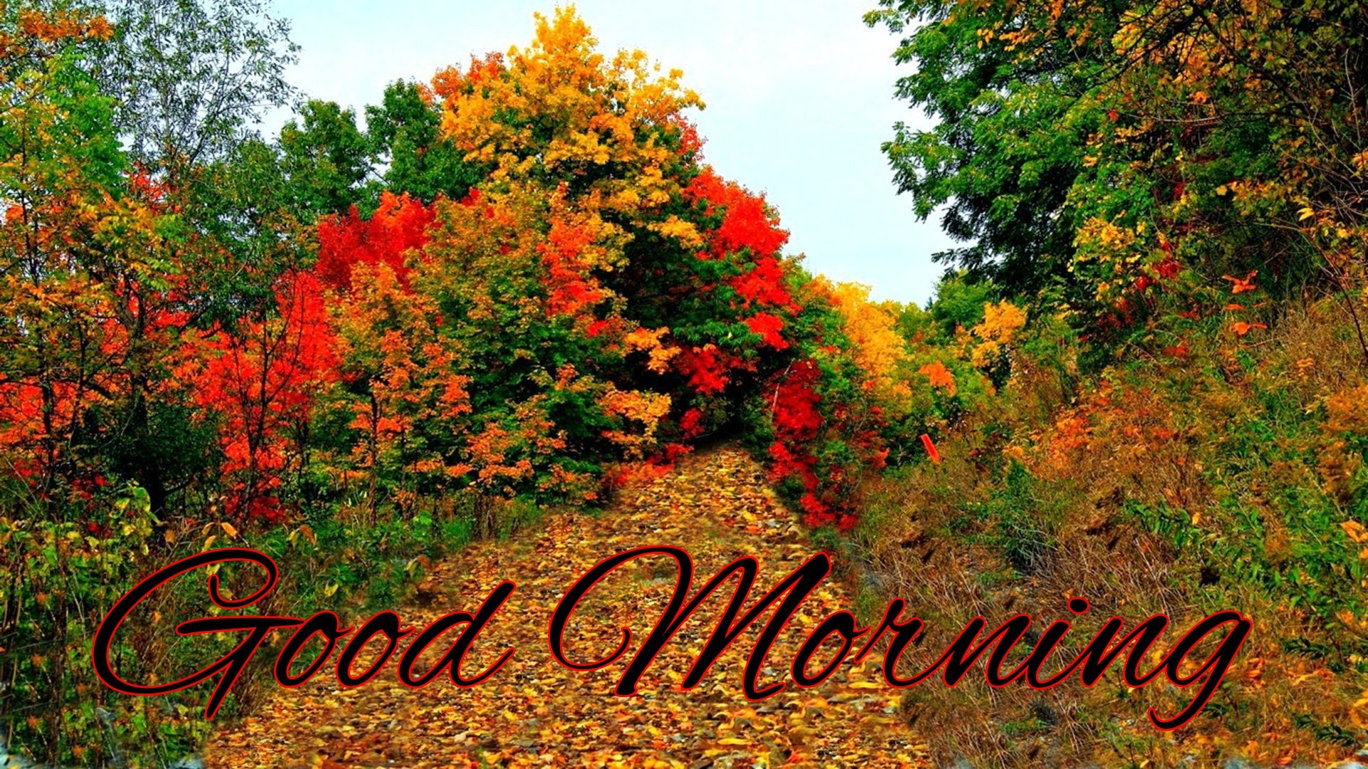 Beautiful Autumn Good Morning Images Wallpapers