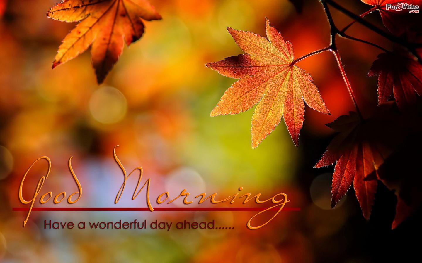 Beautiful Autumn Good Morning Images Wallpapers