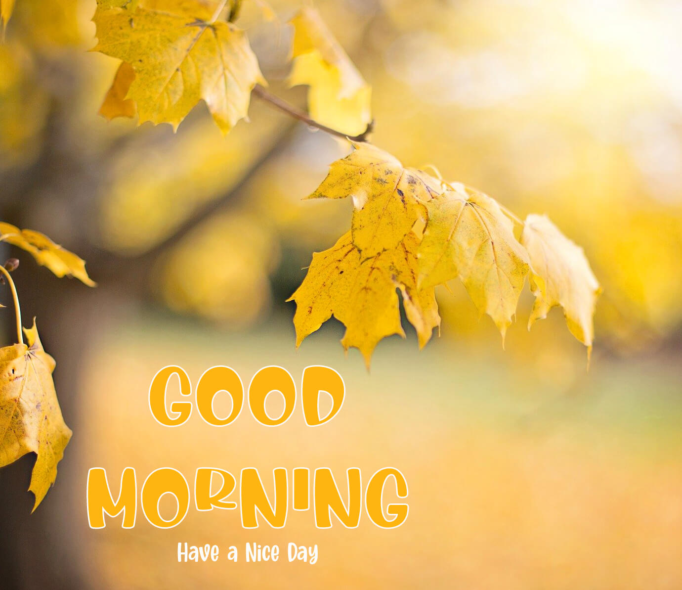 Beautiful Autumn Good Morning Images Wallpapers