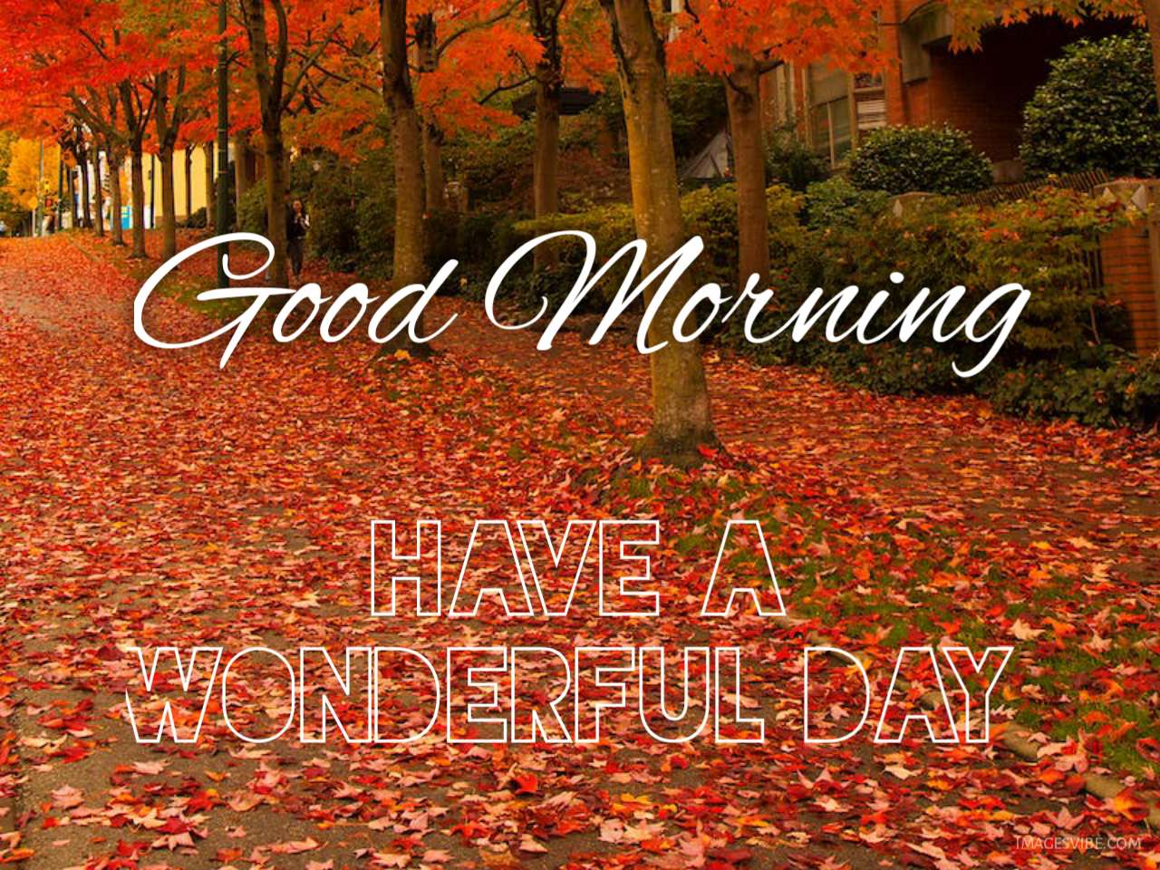 Beautiful Autumn Good Morning Images Wallpapers