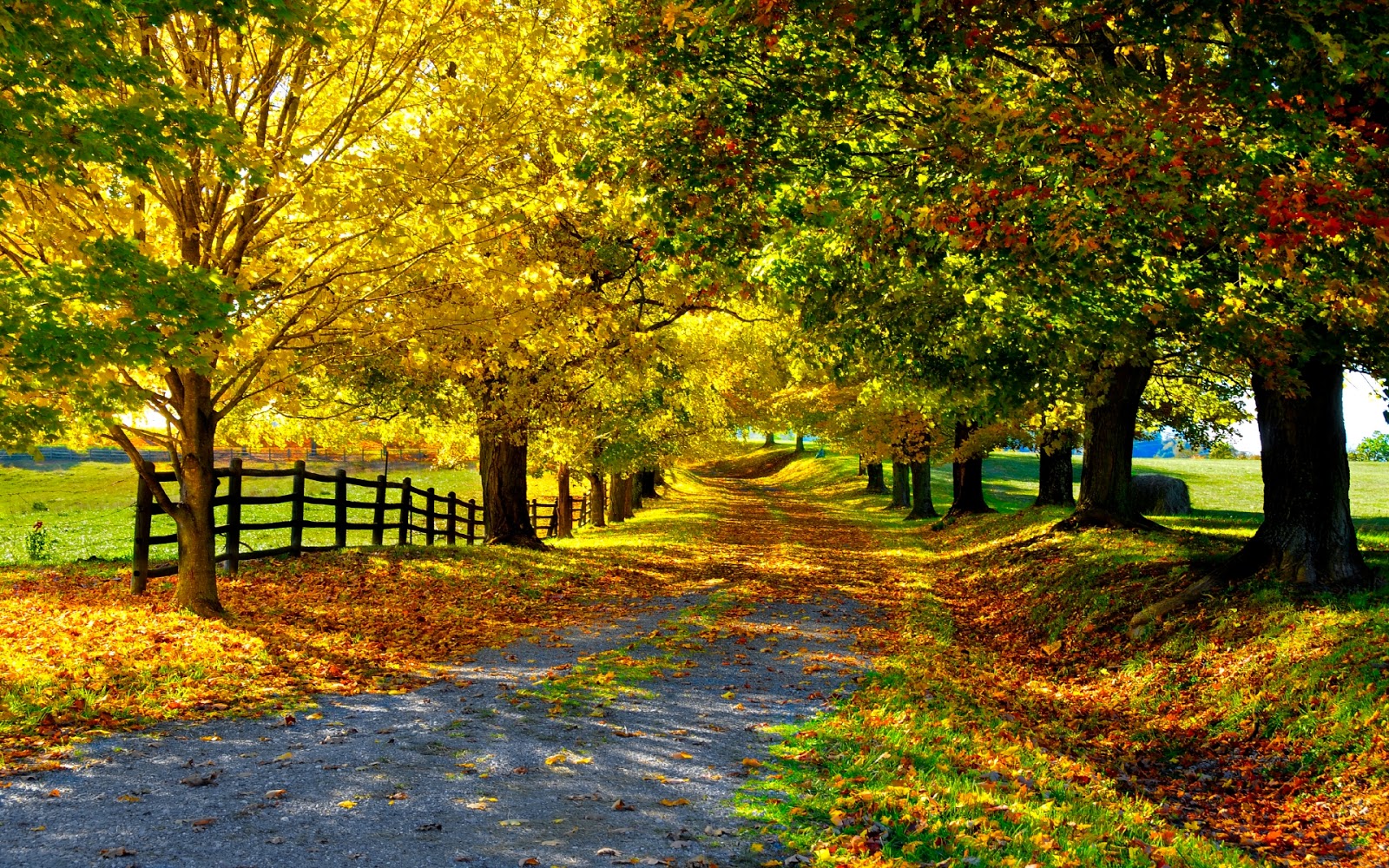 Beautiful Autumn Wallpapers