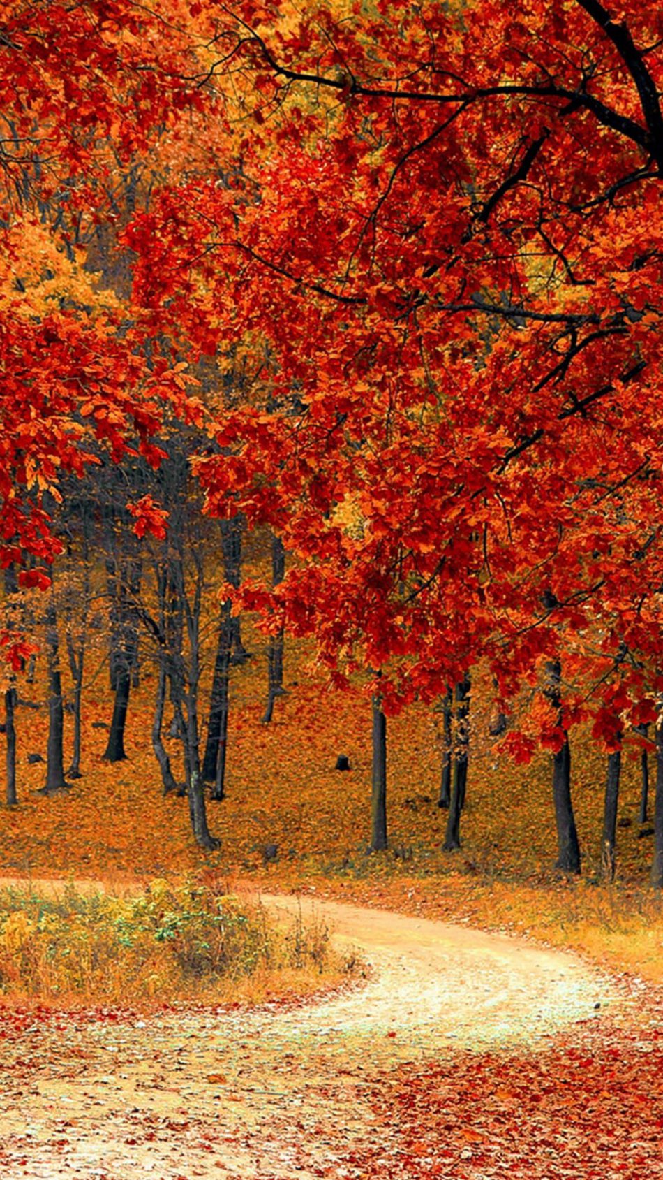 Beautiful Autumn Wallpapers