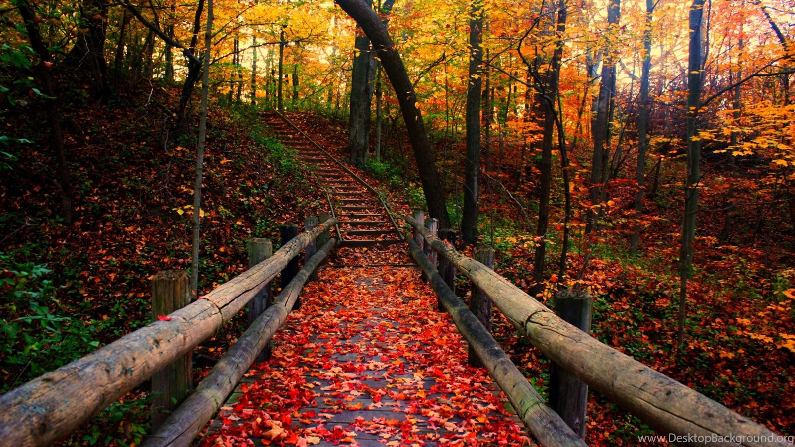 Beautiful Autumn Wallpapers