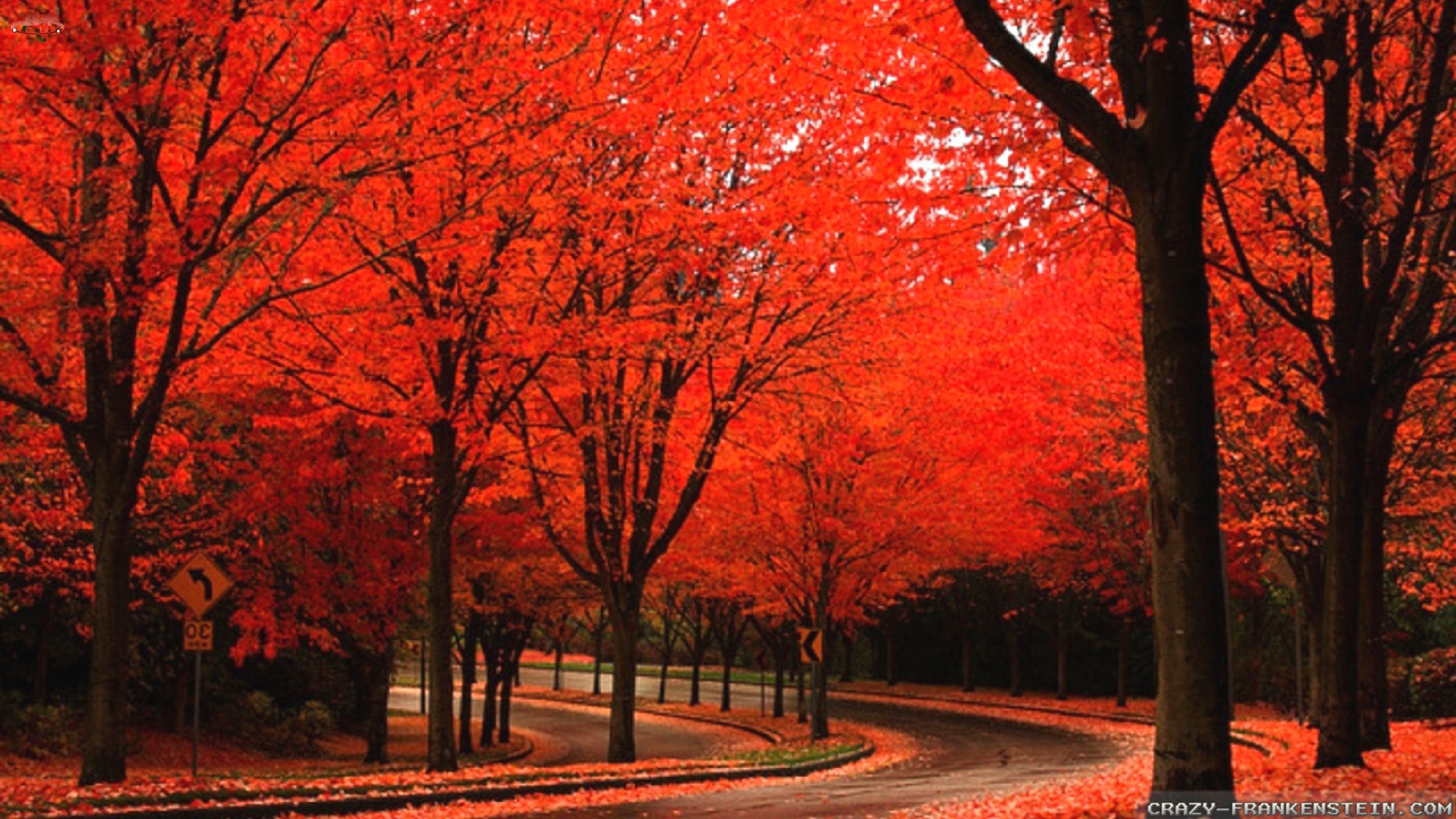 Beautiful Autumn Wallpapers