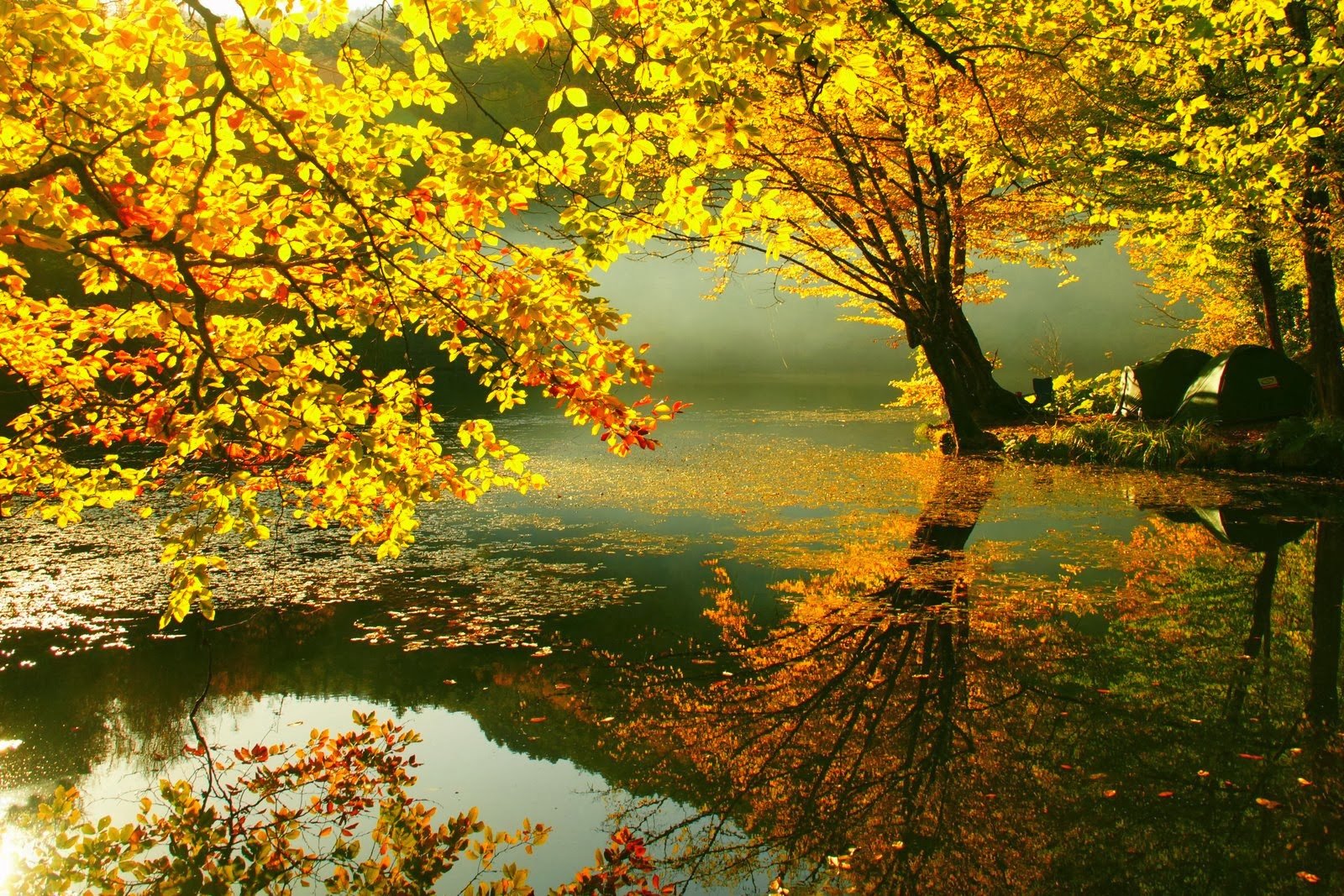 Beautiful Autumn Wallpapers