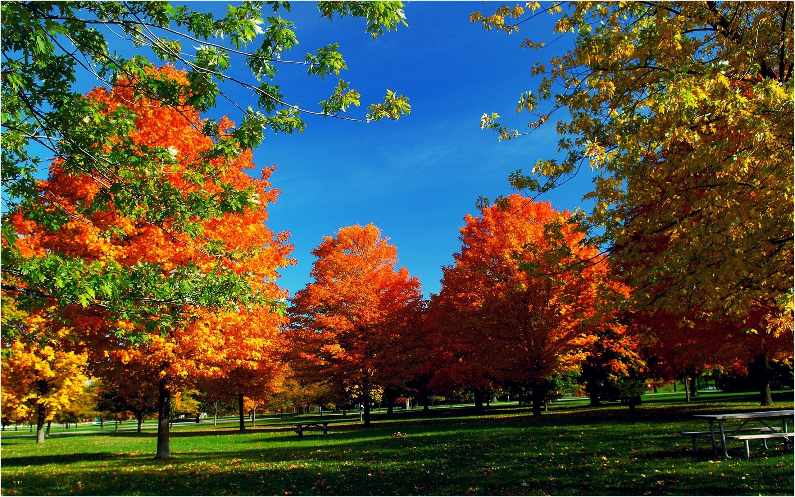 Beautiful Autumn Wallpapers