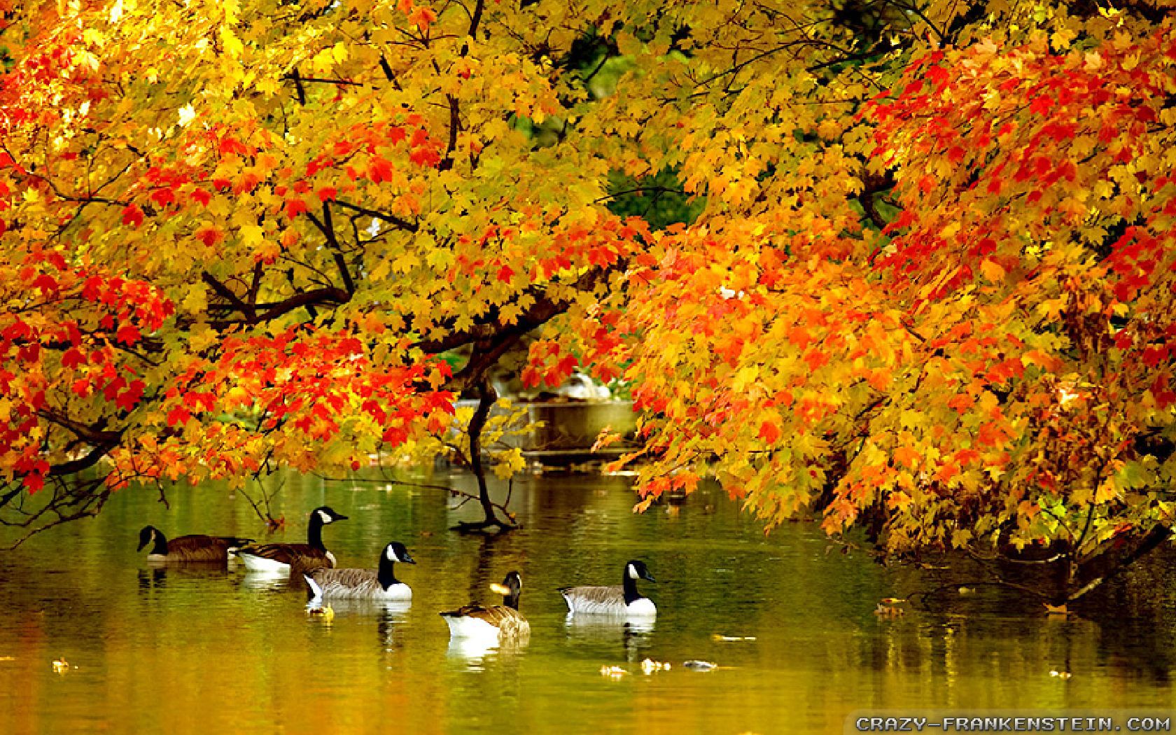 Beautiful Autumn Wallpapers